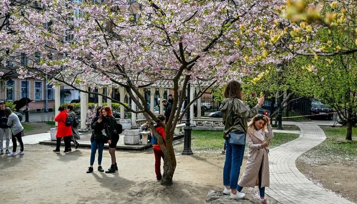 В России продлят выходные до 1 июня в случае положительной динамики по коронавирусу