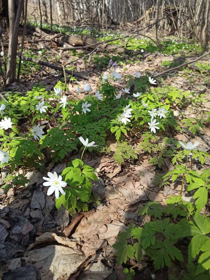 Неужели? В самом деле!!!