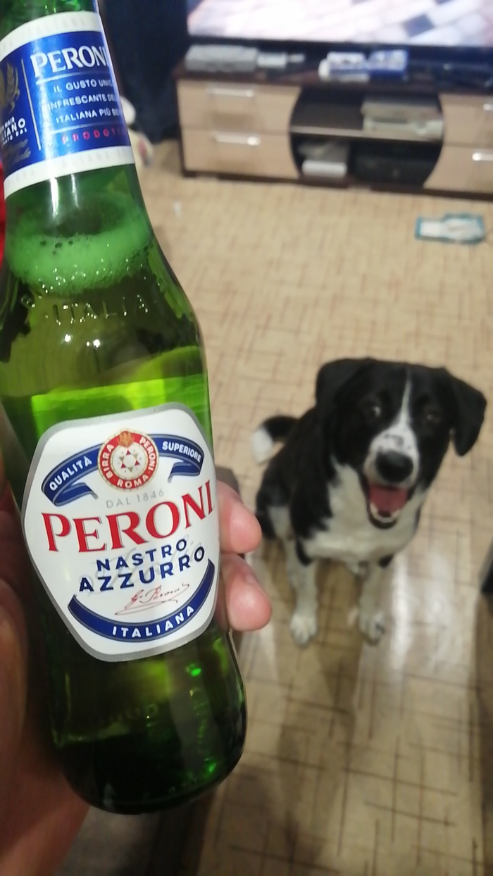 ������� ������!