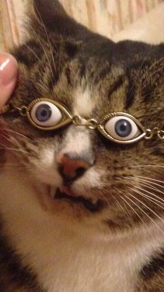   .  ? , , 