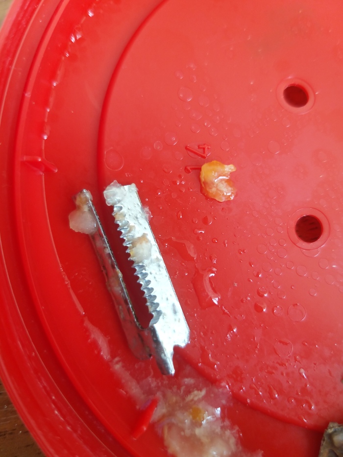 самые опасные блюда в мире. Смотреть фото самые опасные блюда в мире. Смотреть картинку самые опасные блюда в мире. Картинка про самые опасные блюда в мире. Фото самые опасные блюда в мире самые опасные блюда в мире. Смотреть фото самые опасные блюда в мире. Смотреть картинку самые опасные блюда в мире. Картинка про самые опасные блюда в мире. Фото самые опасные блюда в мире