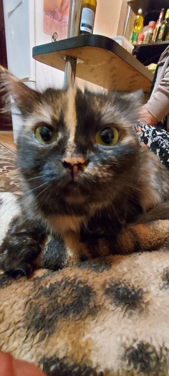 ����� ��� � �����)))