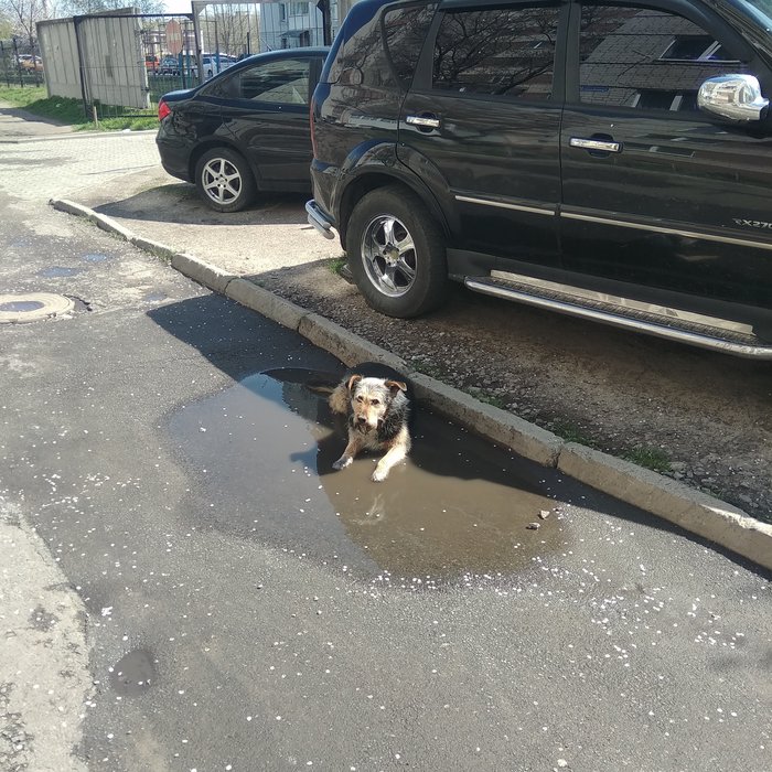  , , 