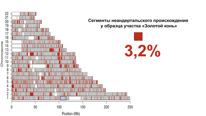 Что появилось раньше устная или письменная речь. Смотреть фото Что появилось раньше устная или письменная речь. Смотреть картинку Что появилось раньше устная или письменная речь. Картинка про Что появилось раньше устная или письменная речь. Фото Что появилось раньше устная или письменная речь