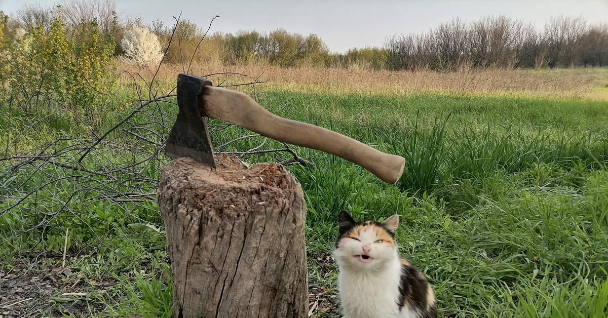 Кот с топором мем