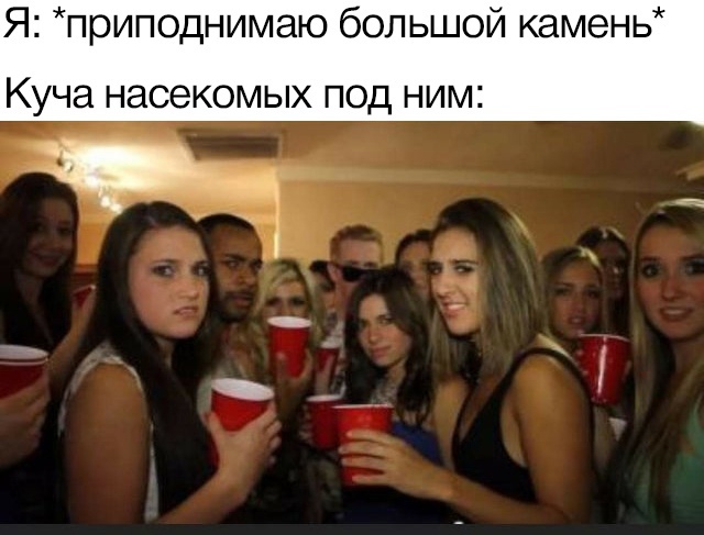 Опусти медленно камень на место