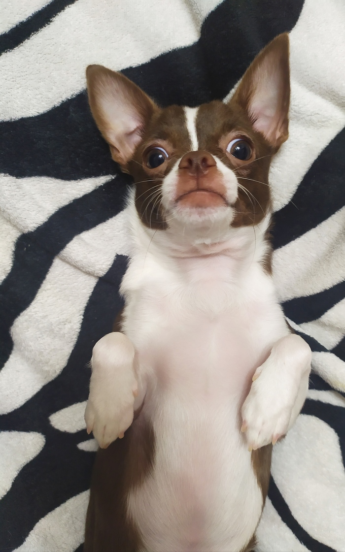 ׸ ��������, �??!