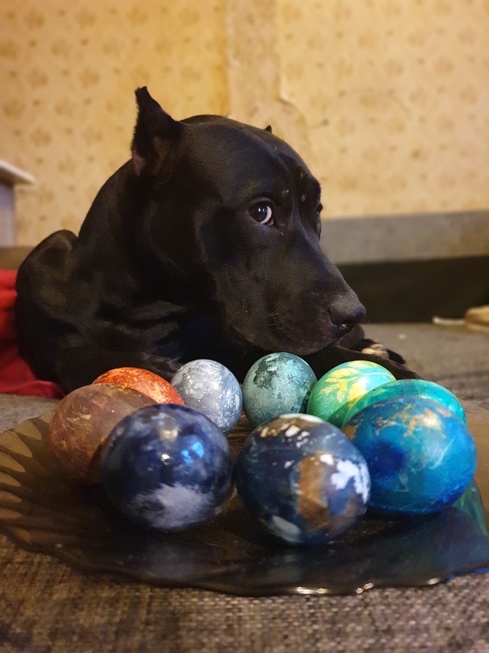 ����� �� ���� ����������� ������� ���������� ��