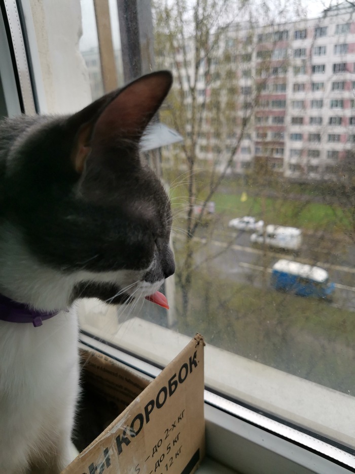 ����� ��� ���� �� ������, � � ���� ��������