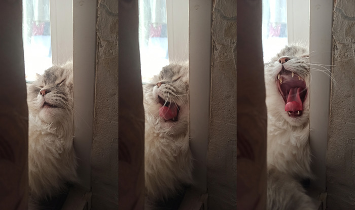 ��� ����?!