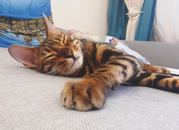 ��������������� ��� ����� ������ ��������.Gektor