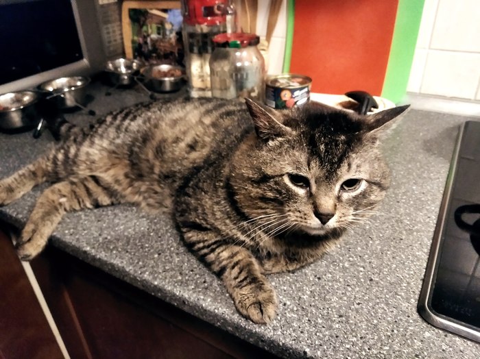 Ну раз так принято...