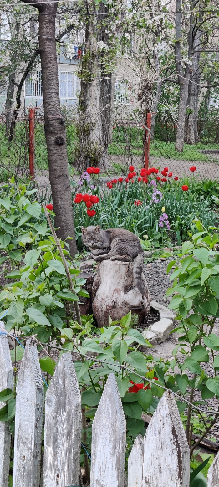     ,      , , , ,  , ,  , 