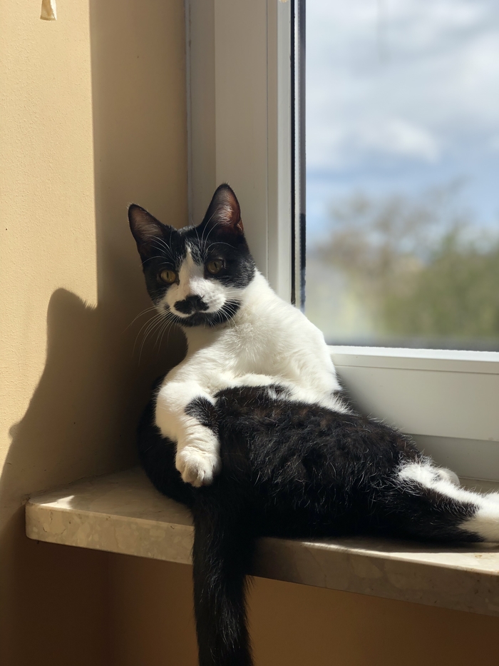 Когда ты оверфотогеничен