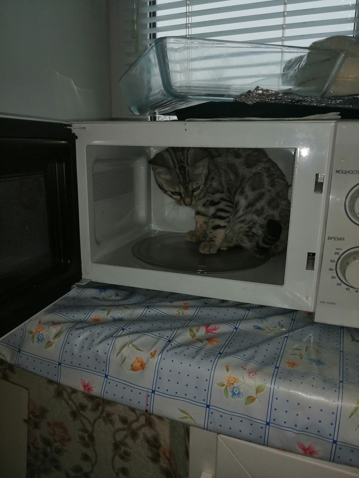 � ����� �� ���� "����� ������� ����� ��������"