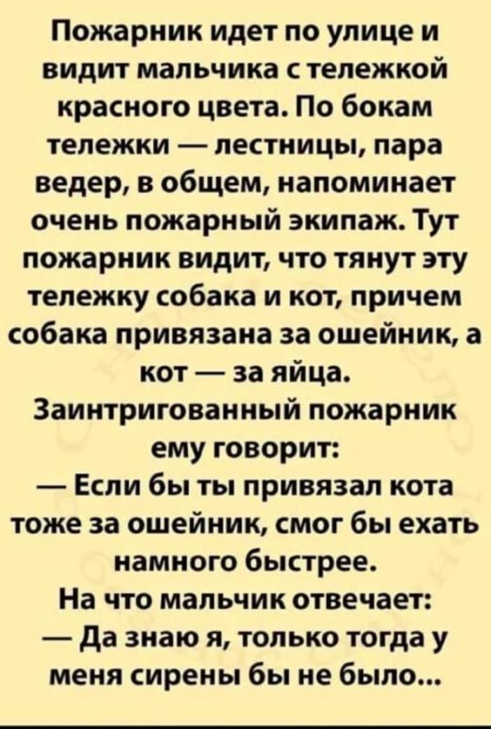 ���� ��������