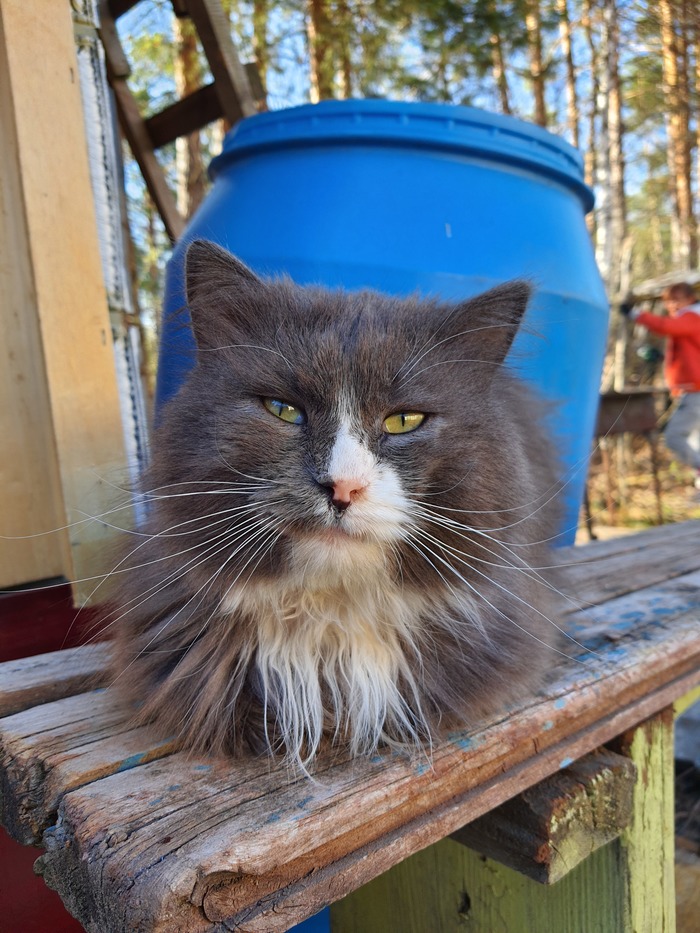 ����������� ���