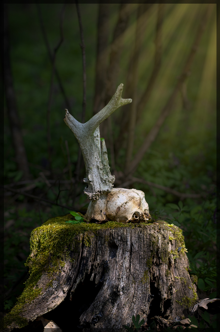 ������� � ����