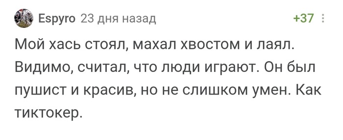 Ответ на пост «Раз не можешь ничего изменить - расслабься»