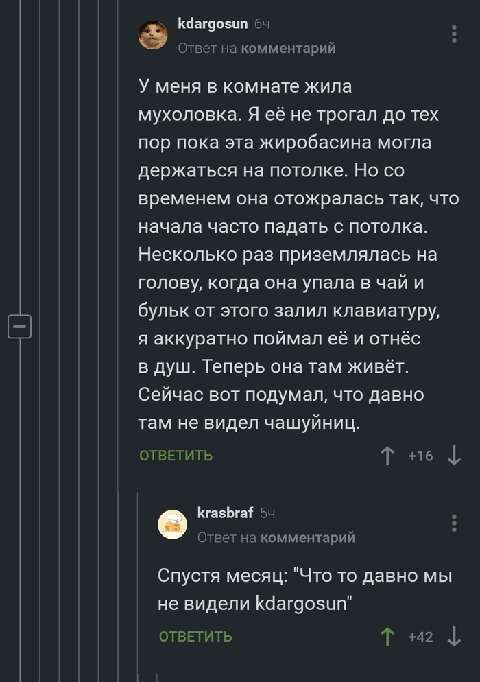 Пропавший без вести...