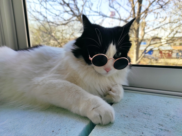 ���� ������