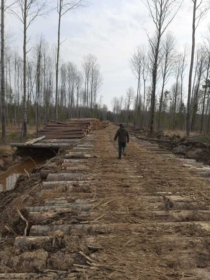 ����� �� ���� �� ����� ��� �������� 4%�