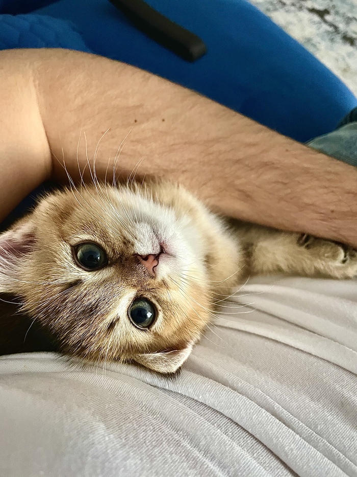 Этот взгляд...