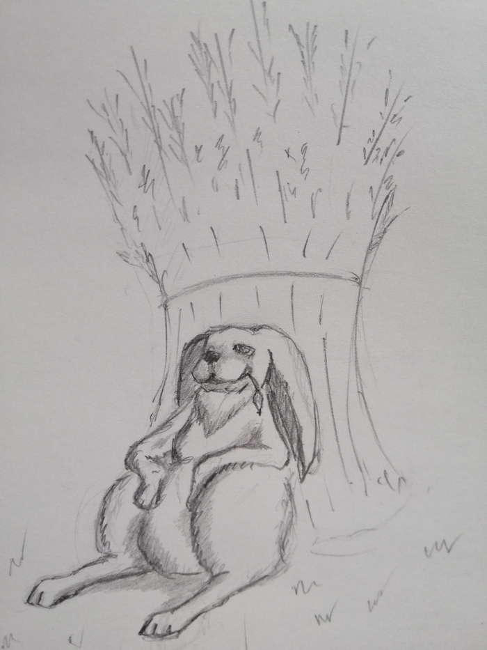 Рисунок карандашом