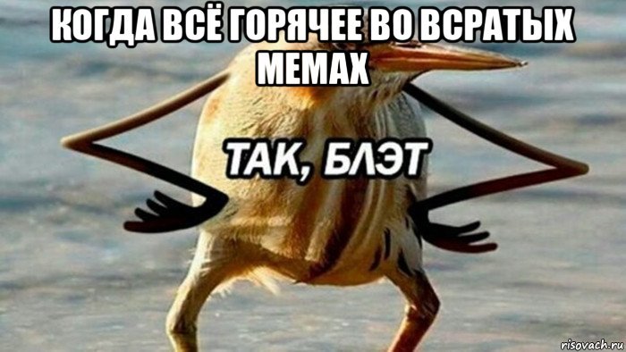 ��� � �������������
