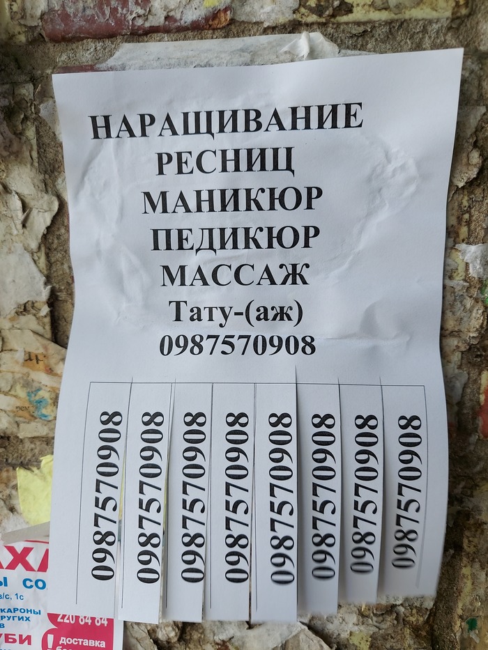 �� ����� ������ �����