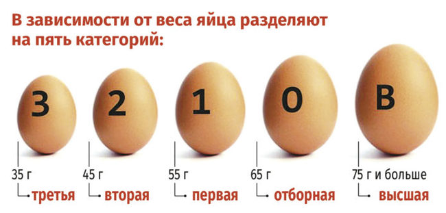 Почему куры едят свои яйца?