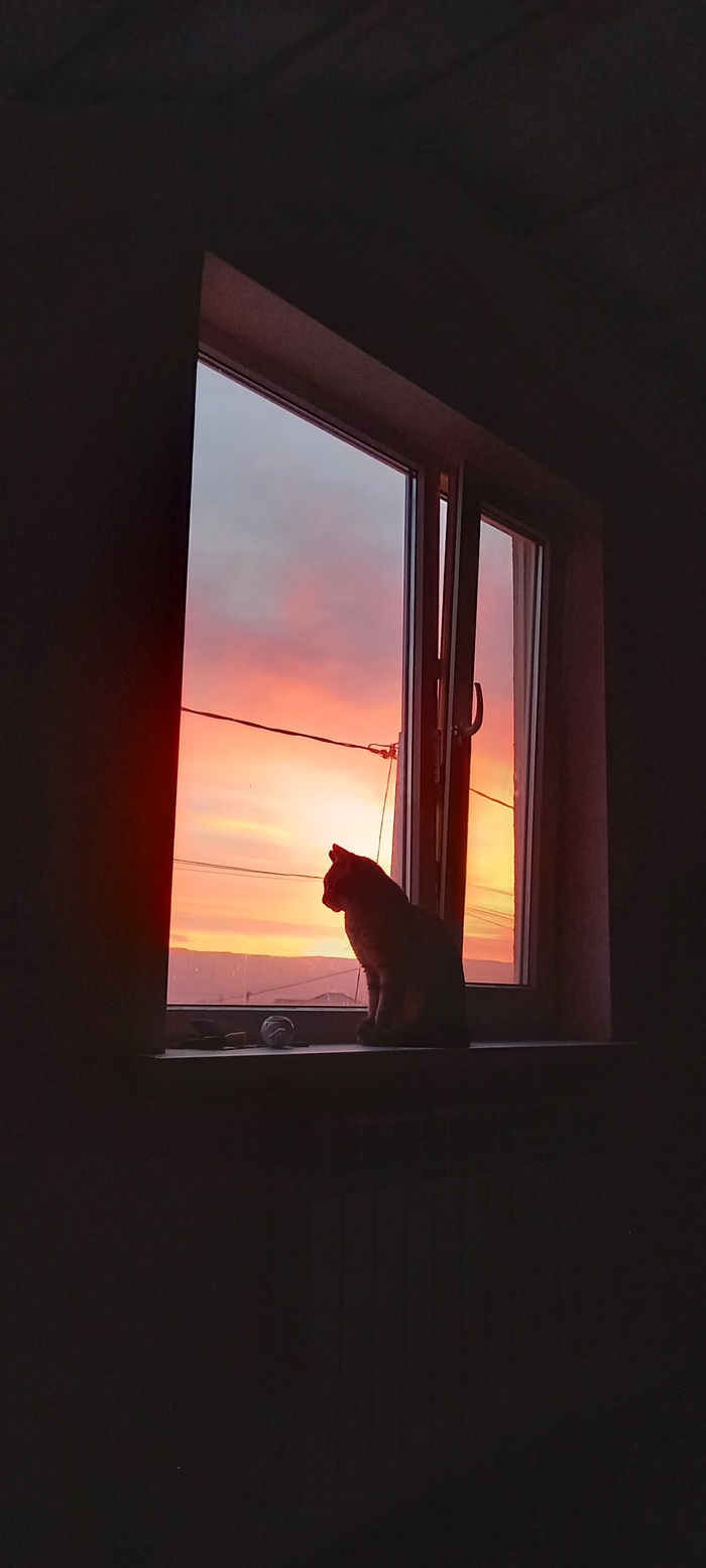 Которассвет