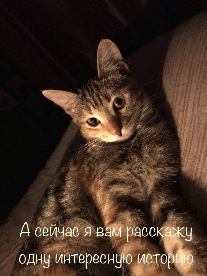 ����� �� ���� �������� ����� ������������ �������