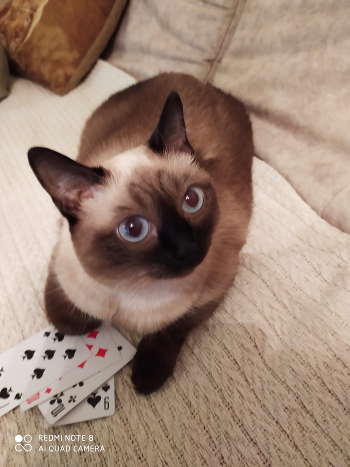 ��� ��� ������?