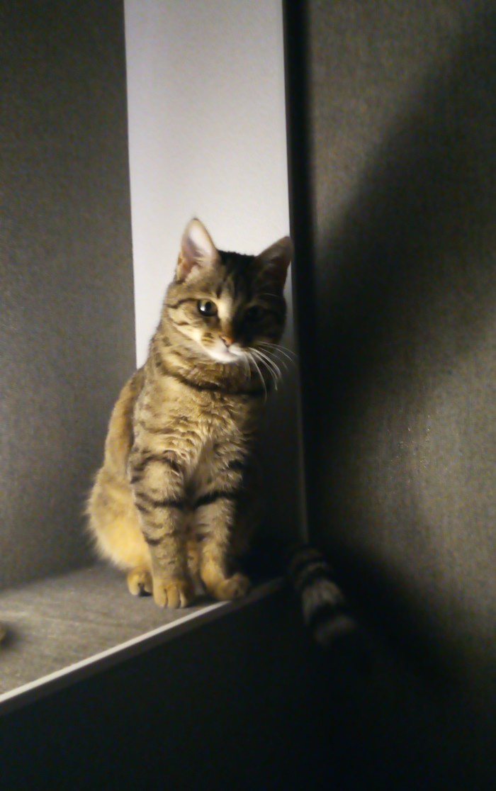 Ну давай расскажи где ты был