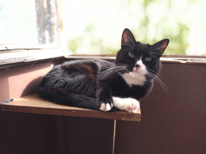 Пришло тепло. Балкон мой