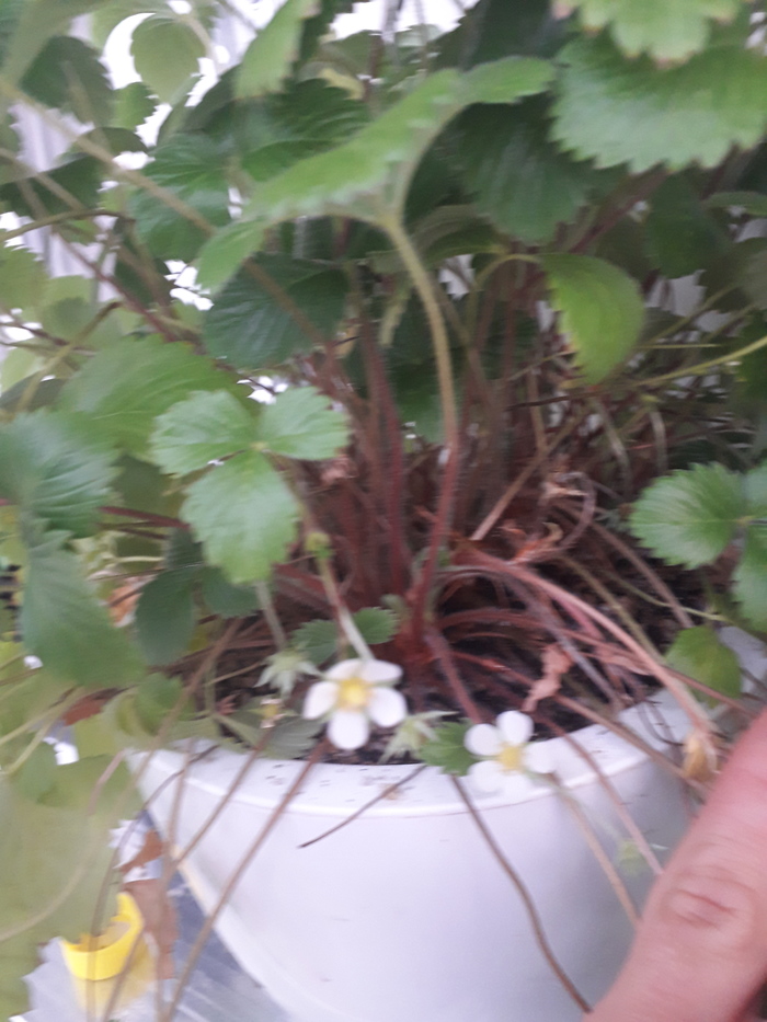 ничто так не украшает квартиру как маленький ребенок с фломастерами. Смотреть фото ничто так не украшает квартиру как маленький ребенок с фломастерами. Смотреть картинку ничто так не украшает квартиру как маленький ребенок с фломастерами. Картинка про ничто так не украшает квартиру как маленький ребенок с фломастерами. Фото ничто так не украшает квартиру как маленький ребенок с фломастерами ничто так не украшает квартиру как маленький ребенок с фломастерами. Смотреть фото ничто так не украшает квартиру как маленький ребенок с фломастерами. Смотреть картинку ничто так не украшает квартиру как маленький ребенок с фломастерами. Картинка про ничто так не украшает квартиру как маленький ребенок с фломастерами. Фото ничто так не украшает квартиру как маленький ребенок с фломастерами