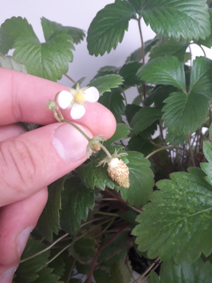 ничто так не украшает квартиру как маленький ребенок с фломастерами. Смотреть фото ничто так не украшает квартиру как маленький ребенок с фломастерами. Смотреть картинку ничто так не украшает квартиру как маленький ребенок с фломастерами. Картинка про ничто так не украшает квартиру как маленький ребенок с фломастерами. Фото ничто так не украшает квартиру как маленький ребенок с фломастерами ничто так не украшает квартиру как маленький ребенок с фломастерами. Смотреть фото ничто так не украшает квартиру как маленький ребенок с фломастерами. Смотреть картинку ничто так не украшает квартиру как маленький ребенок с фломастерами. Картинка про ничто так не украшает квартиру как маленький ребенок с фломастерами. Фото ничто так не украшает квартиру как маленький ребенок с фломастерами