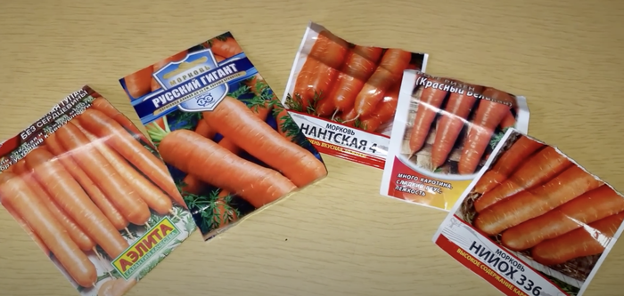 ОБЗОР УРОЖАЙНЫХ СОРТОВ МОРКОВИ