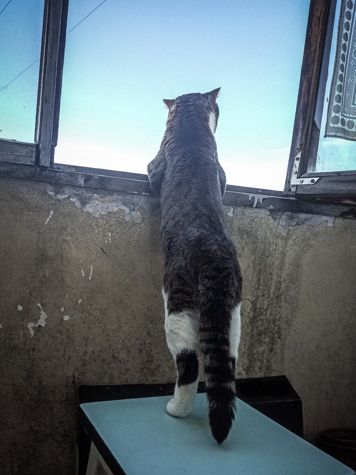 ��� ����� �� �����