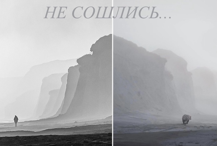 Человек и мишка