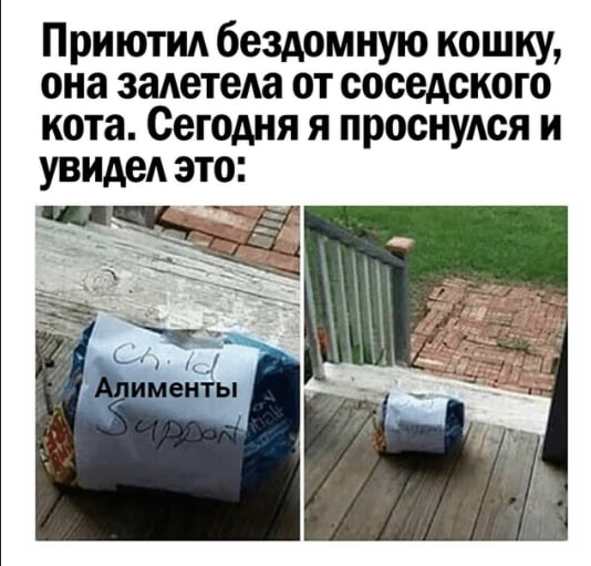 Добросовестный отец