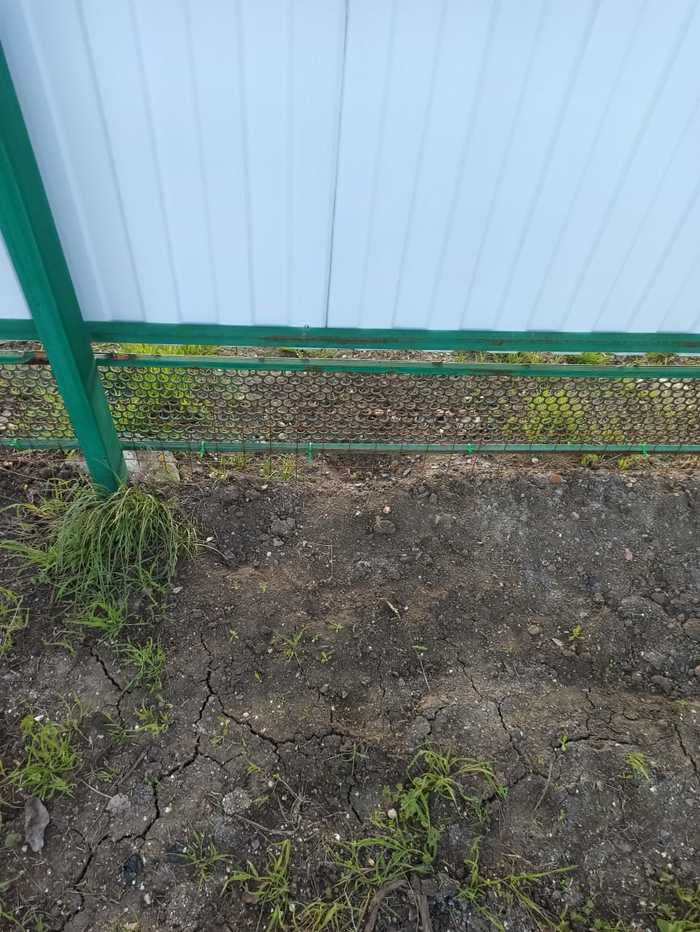 Переезд из Питера в Краснодарский край на ПМЖ в 18 году. Азовское море, Должанская) Переезд, Краснодарский край, Должанская, Азовское море, Длиннопост