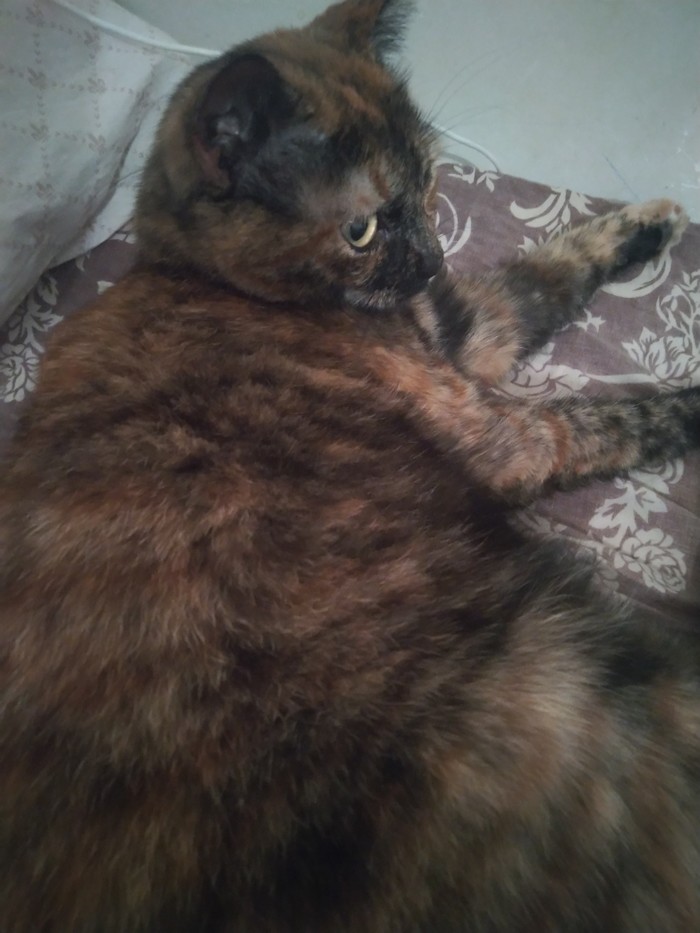 ���� ������ ���������!