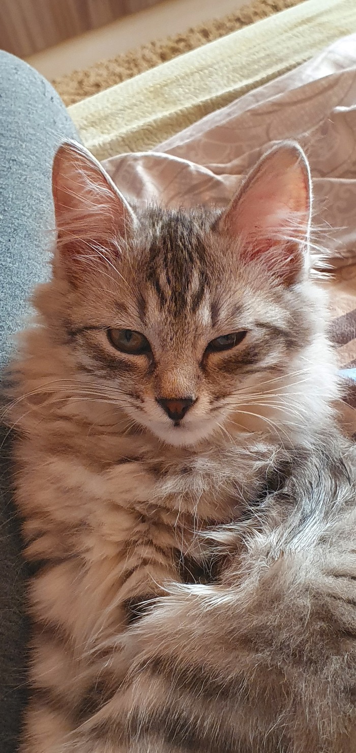 �� ���������