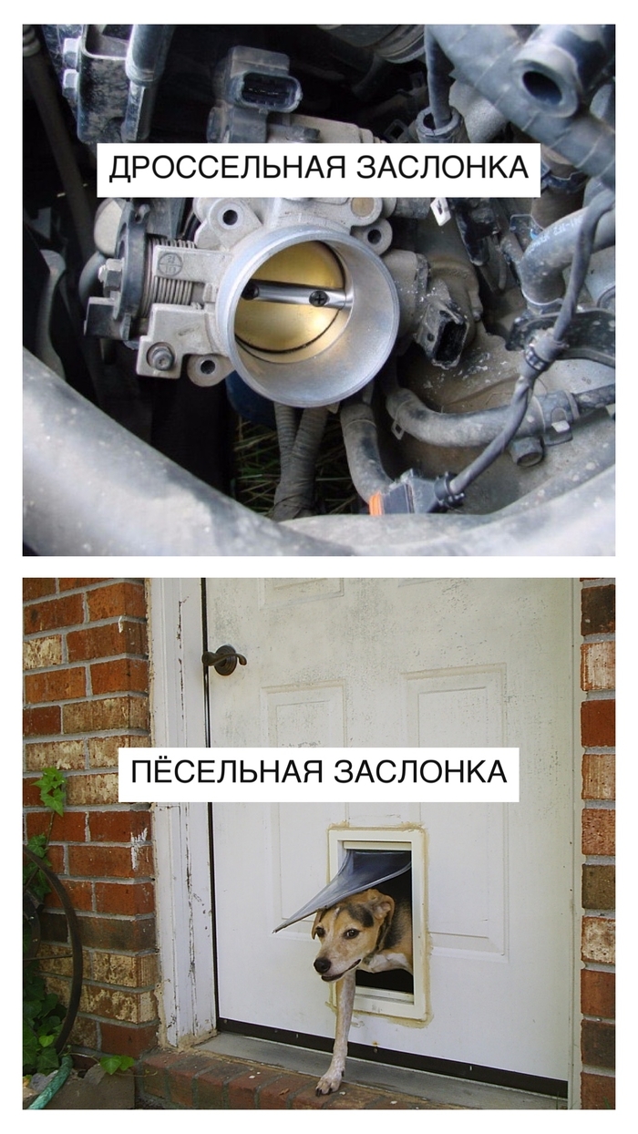 Эта мысль не даёт мне покоя второй день