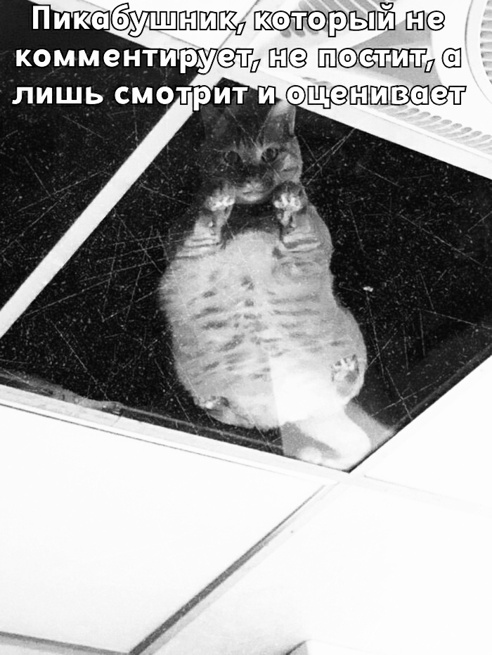 Ты никогда не узнаешь его