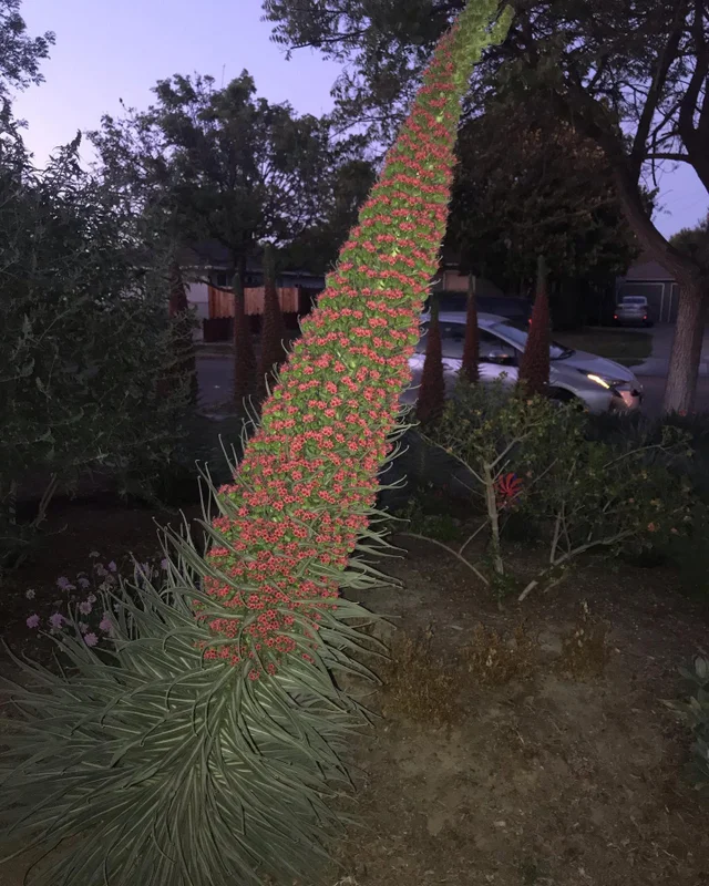 Что это за штука - 127 Перевел сам, Reddit, WhatIsThisThing, Видео, Длиннопост