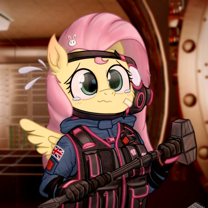   ""  -  My Little Pony, Fluttershy, Tom Clancys Rainbow Six Siege, , MLP Crossover