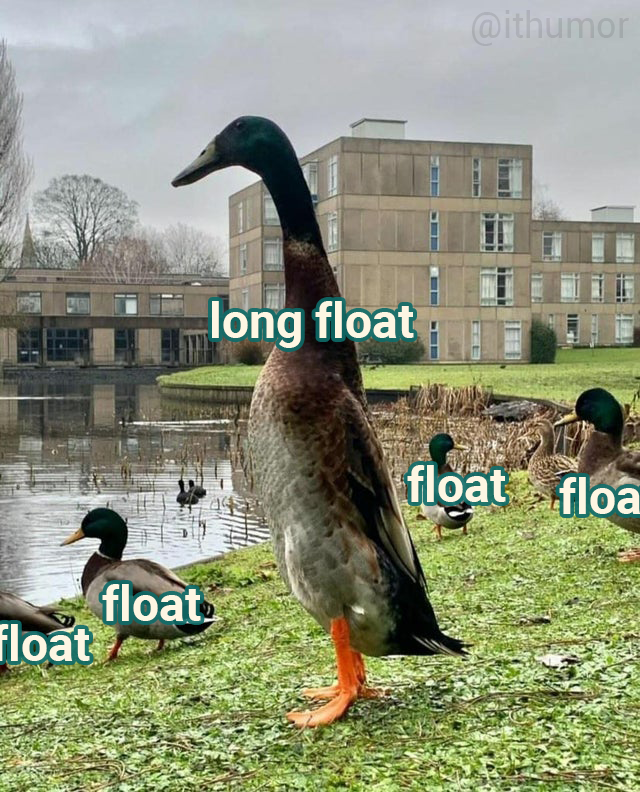 Long float duck IT , C, , 